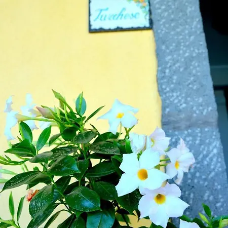 La Casa Del Melograno